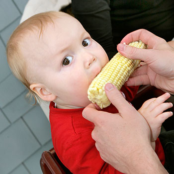 baby eating corn on the cob during a private lobster clambake catered event